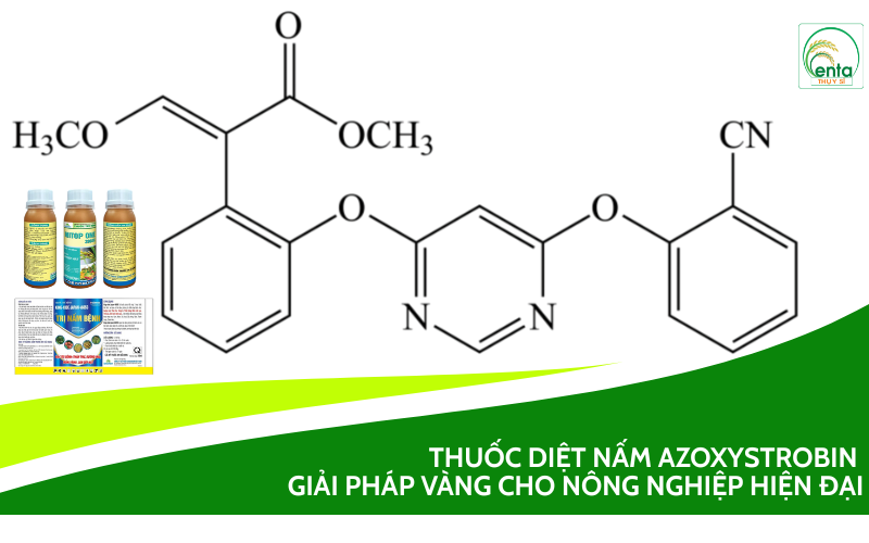 thuốc diệt nấm azoxystrobin