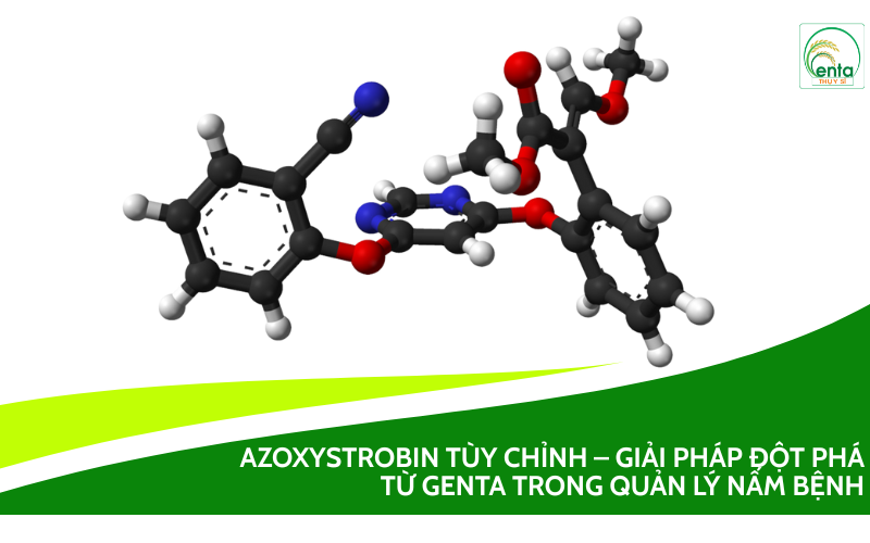 Azoxystrobin tùy chỉnh