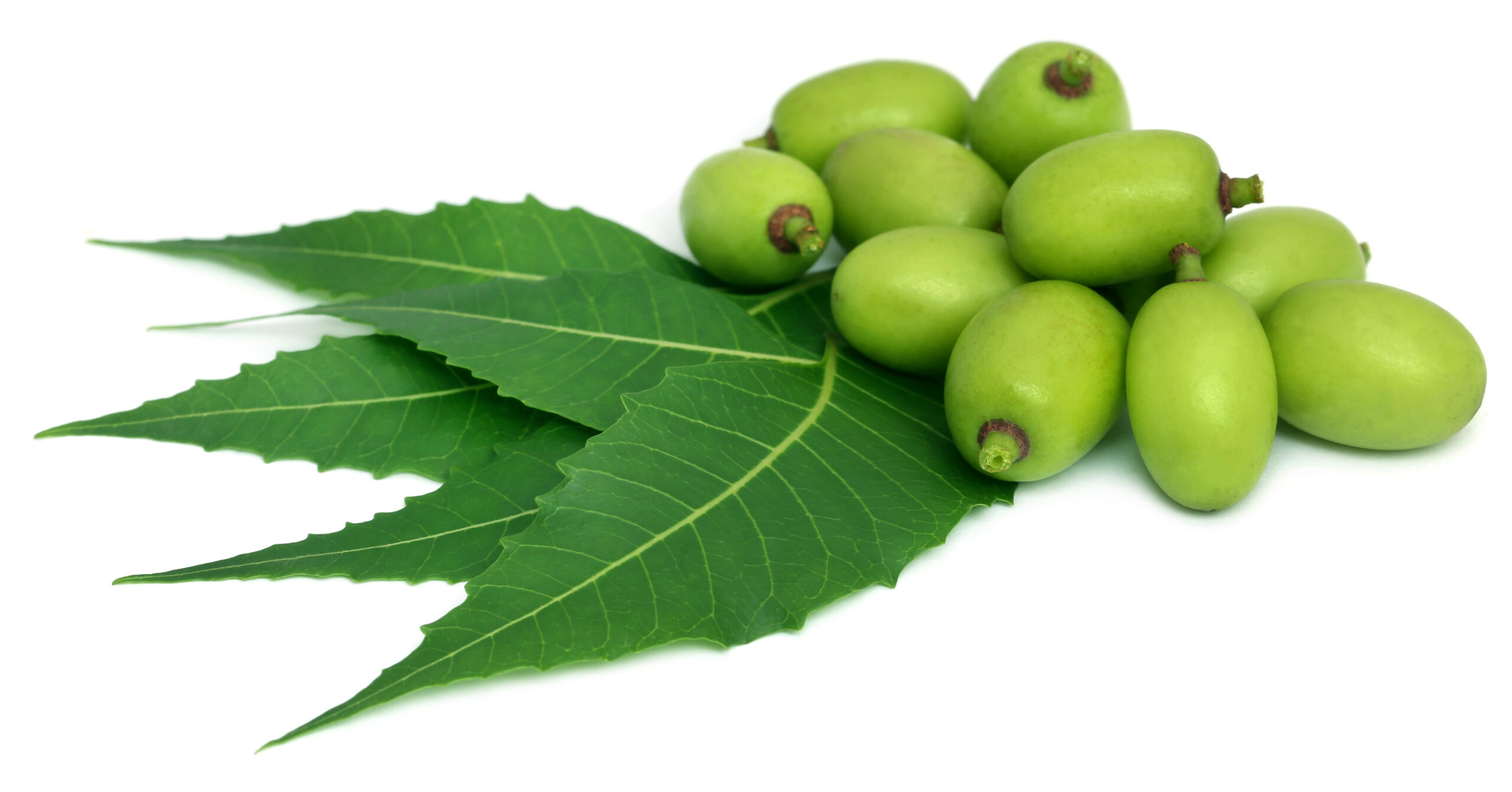 Azadirachtin