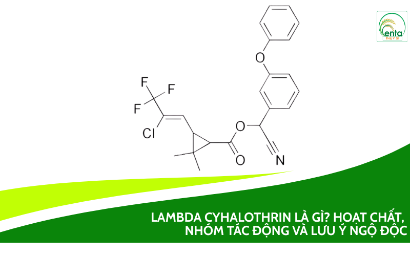Lambda Cyhalothrin