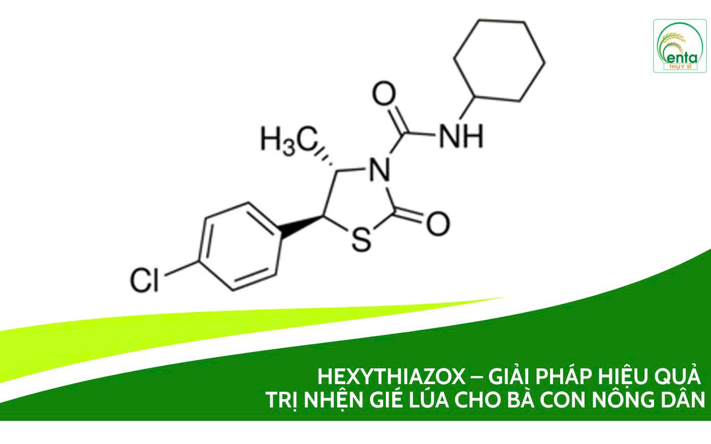Hexythiazox – Giải pháp hiệu quả trị nhện gié lúa cho bà con nông dân