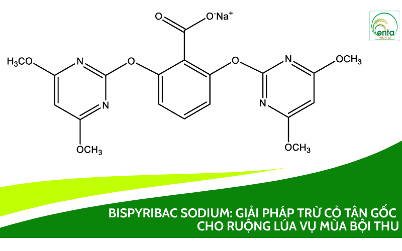 Bispyribac Sodium