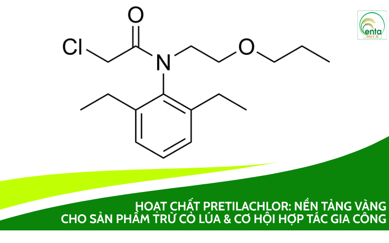 Pretilachlor