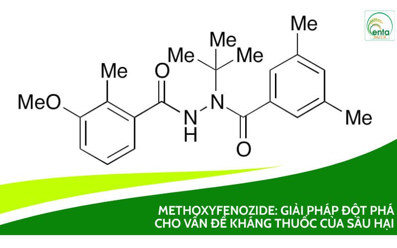 Methoxyfenozide