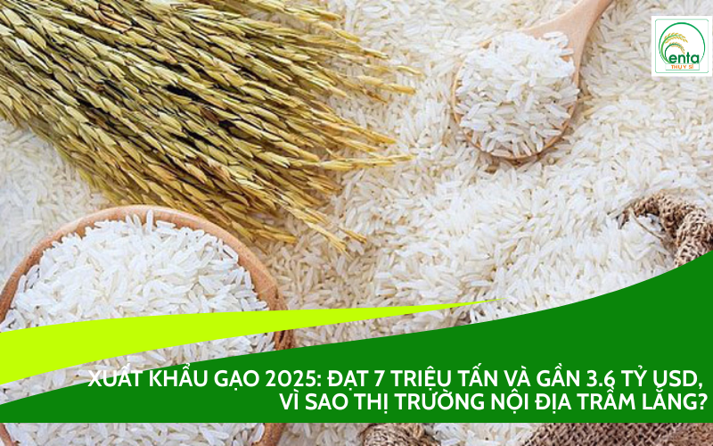 Xuất khẩu gạo 2025