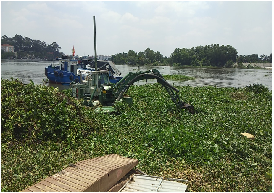 phục hồi vườn cây bị ngập úng