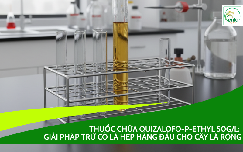 Quizalofo-p-Ethyl 50g/l:
