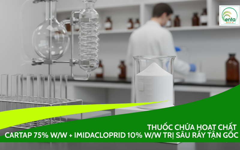Cartap 75% w/w + Imidacloprid 10% w/w