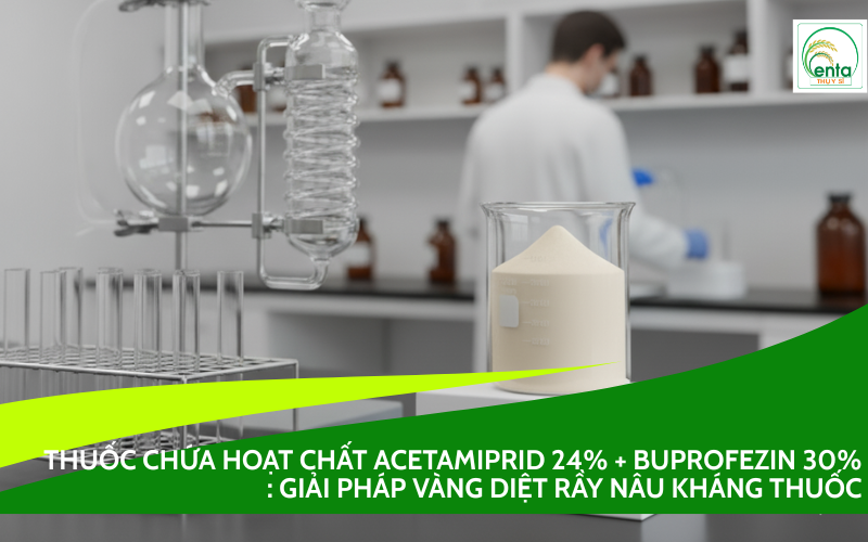 Thuốc Chứa Hoạt Chất Acetamiprid 24% + Buprofezin 30%