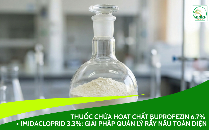 Buprofezin 6.7% + Imidacloprid 3.3%