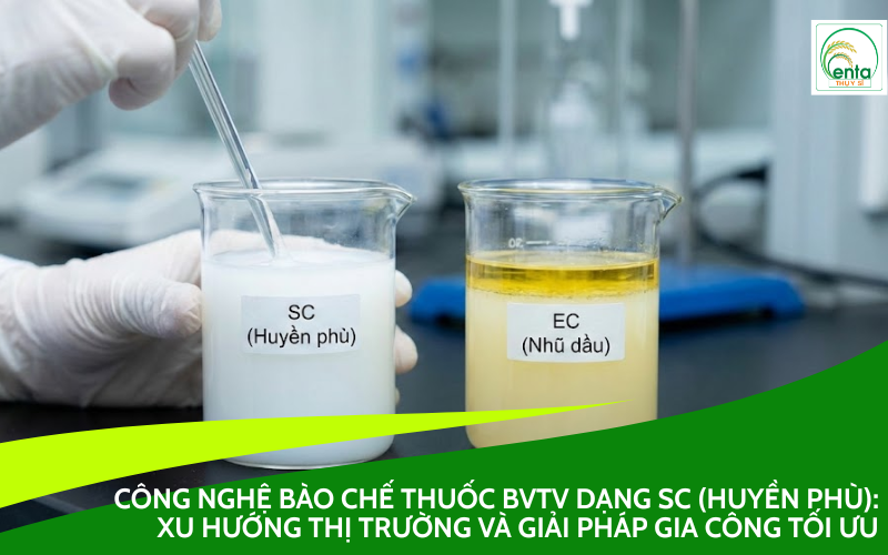 Dạng SC (Huyền Phù)