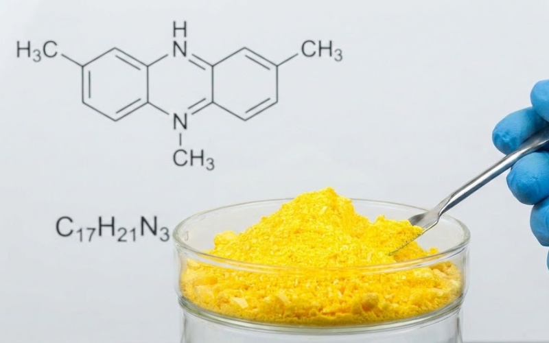  vàng ô trên sầu riêng