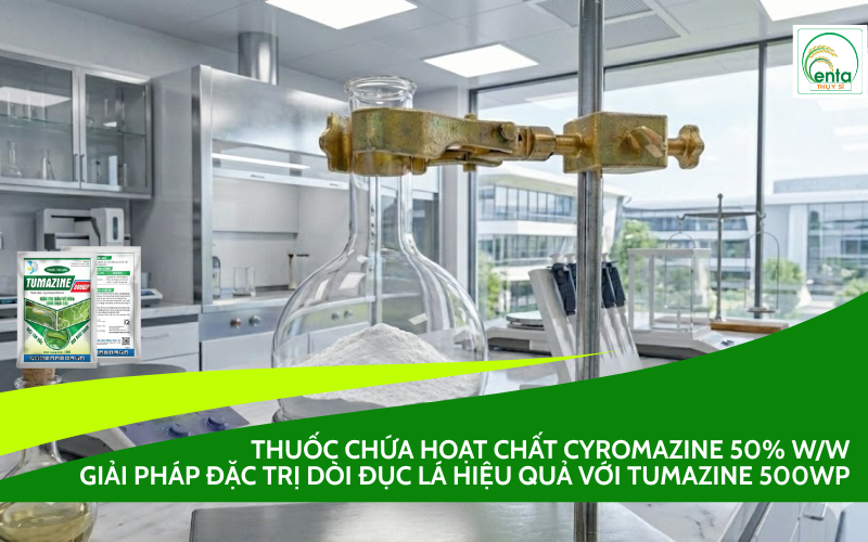 Thuốc chứa hoạt chất Cyromazine 50% w/w
