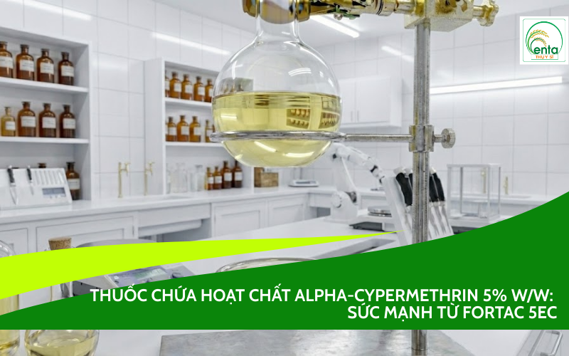 Alpha-Cypermethrin 5% w/w