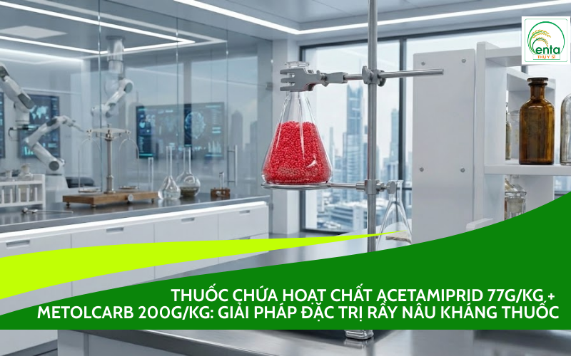 Thuốc Chứa Hoạt Chất Acetamiprid 77g/kg + Metolcarb 200g/kg: