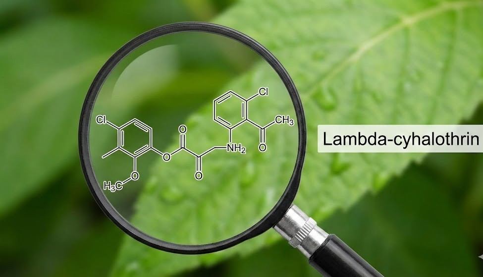 Thuốc chứa hoạt chất Lambda-cyhalothrin 25g/l
