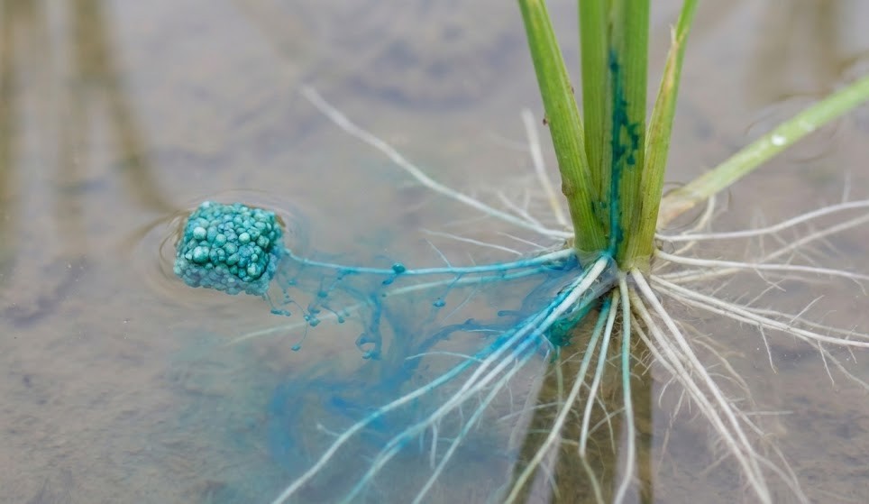 Thuốc Chứa Hoạt Chất Cartap Hydrochloride 4%