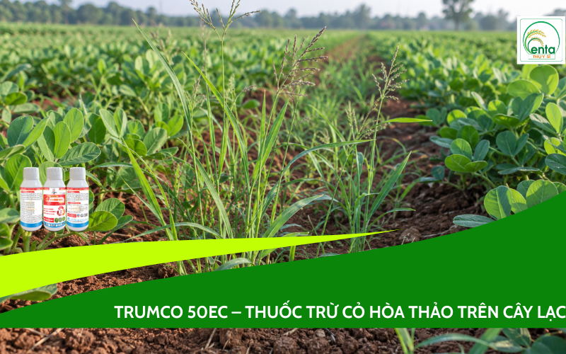 TRUMCO 50EC