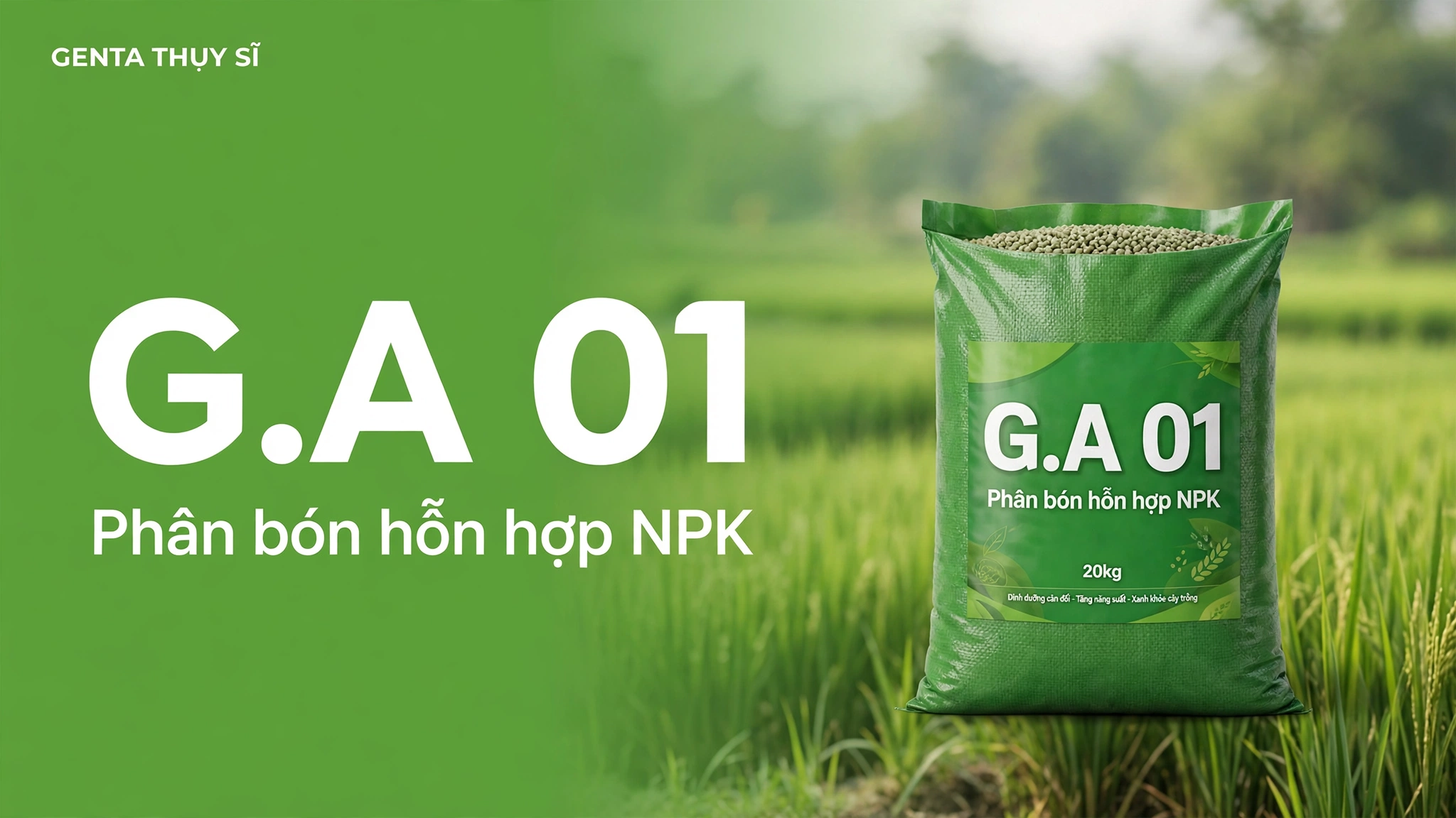 Ảnh bìa bài viết phân bón G.A 01
