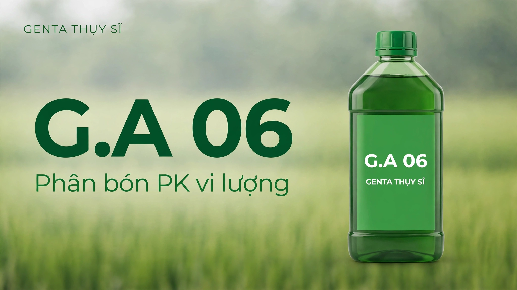 Ảnh bìa bài viết phân bón G.A 06