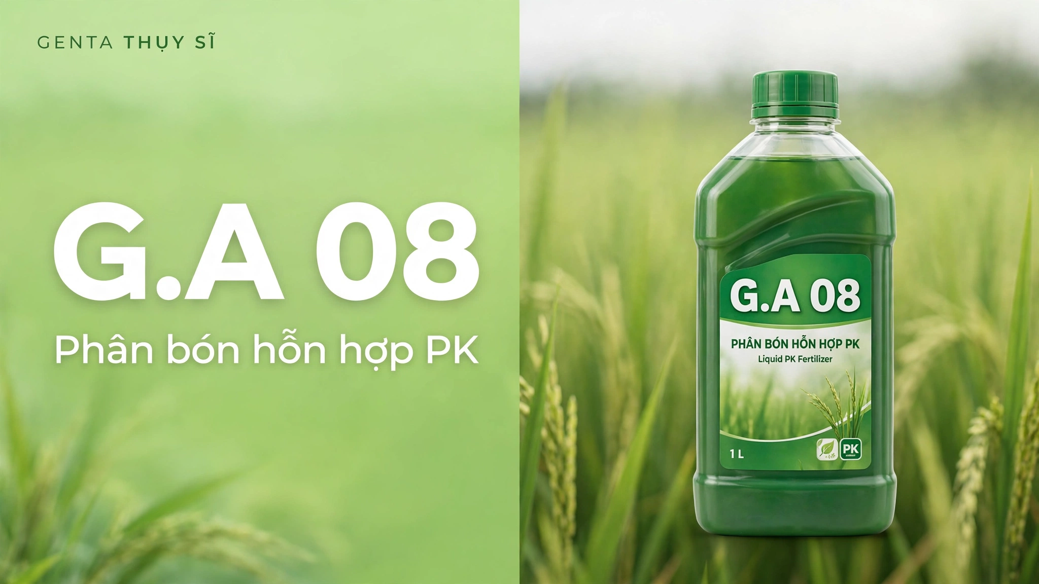 Ảnh bìa bài viết phân bón G.A 08