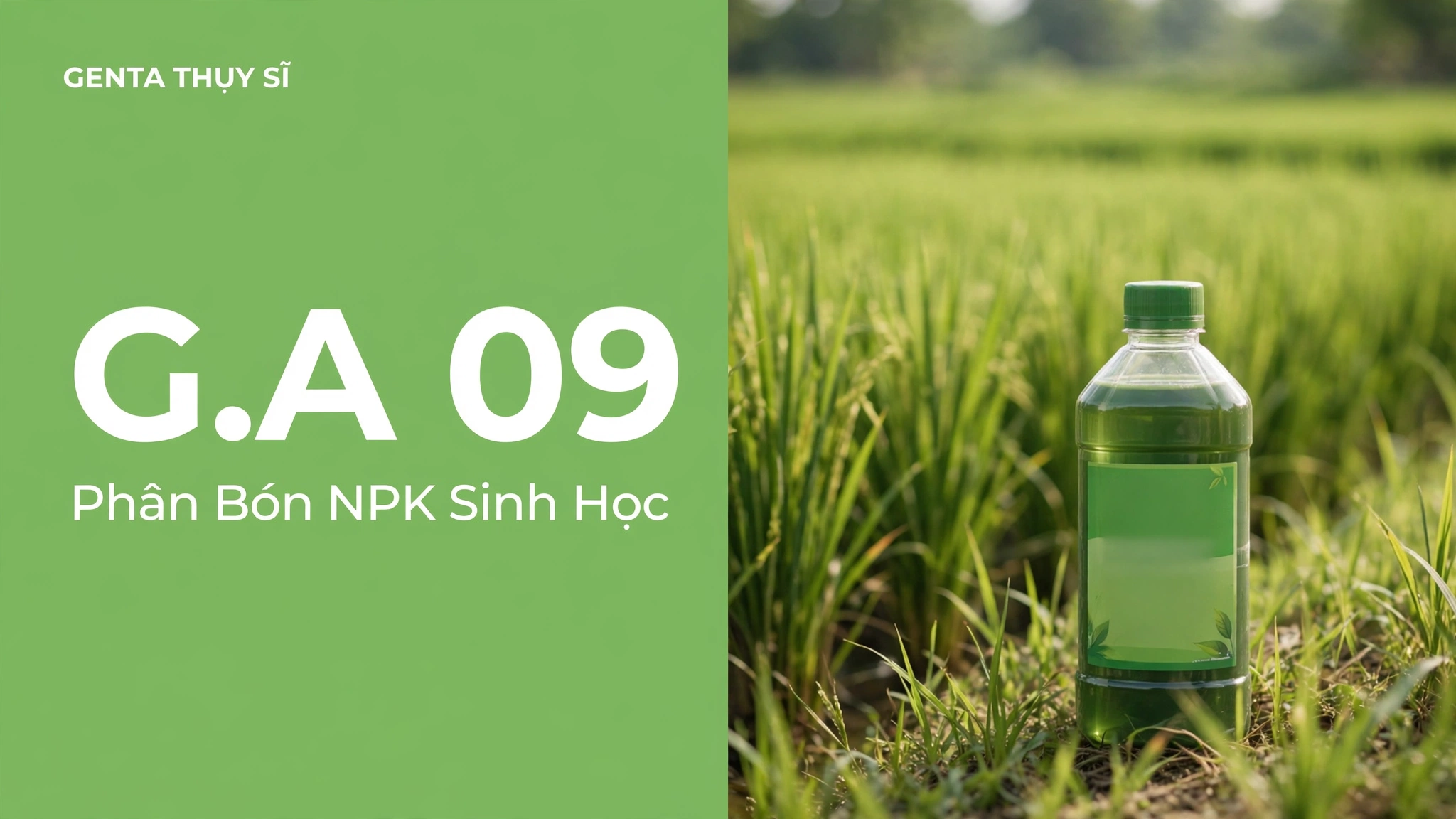 Ảnh bìa bài viết phân bón G.A 09