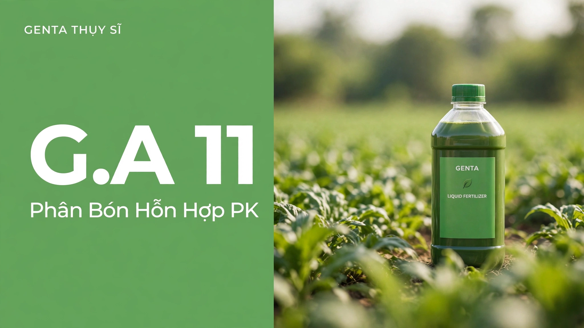 Ảnh bìa bài viết phân bón G.A 11