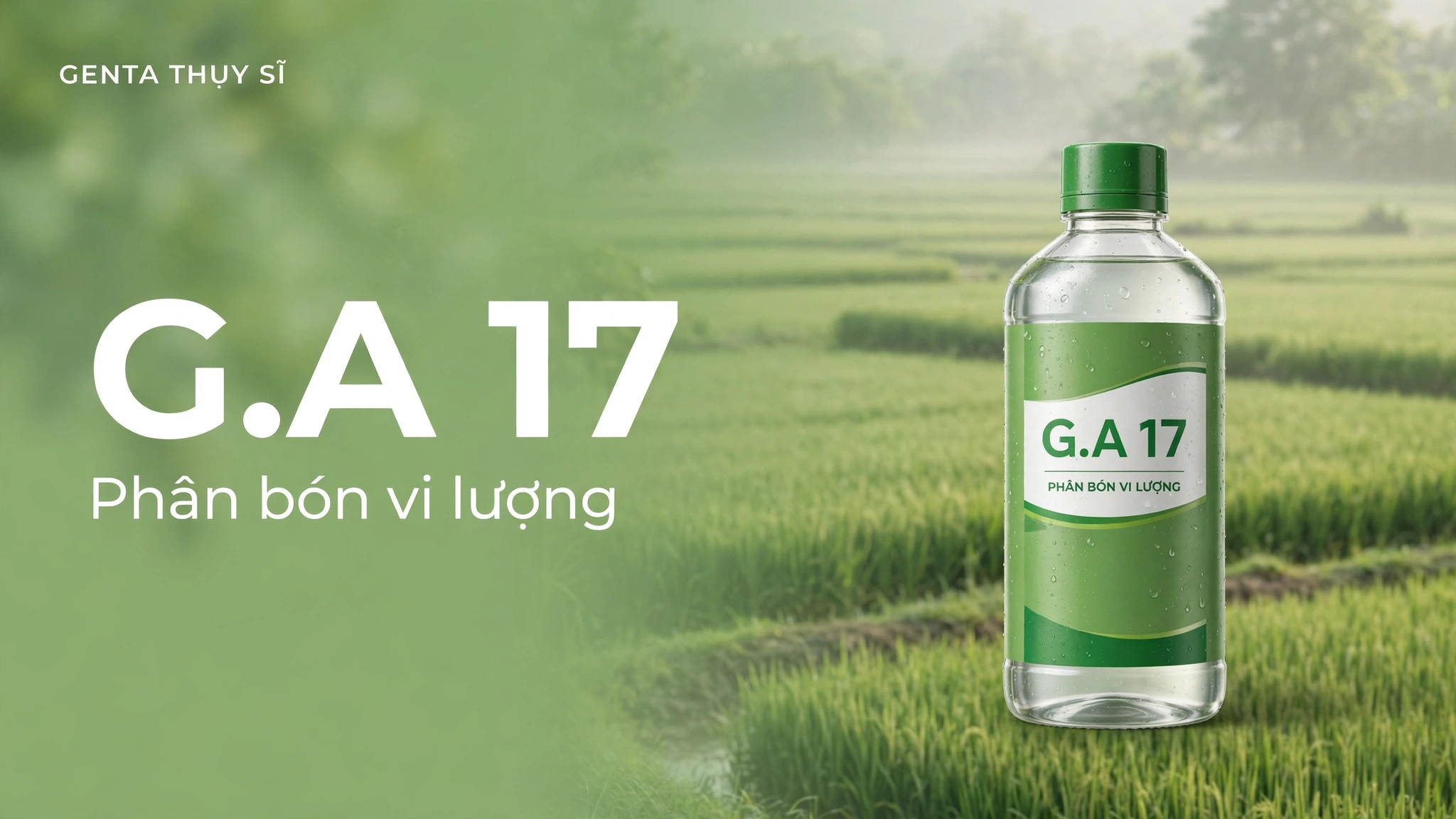 Ảnh bìa bài viết phân bón G.A 17