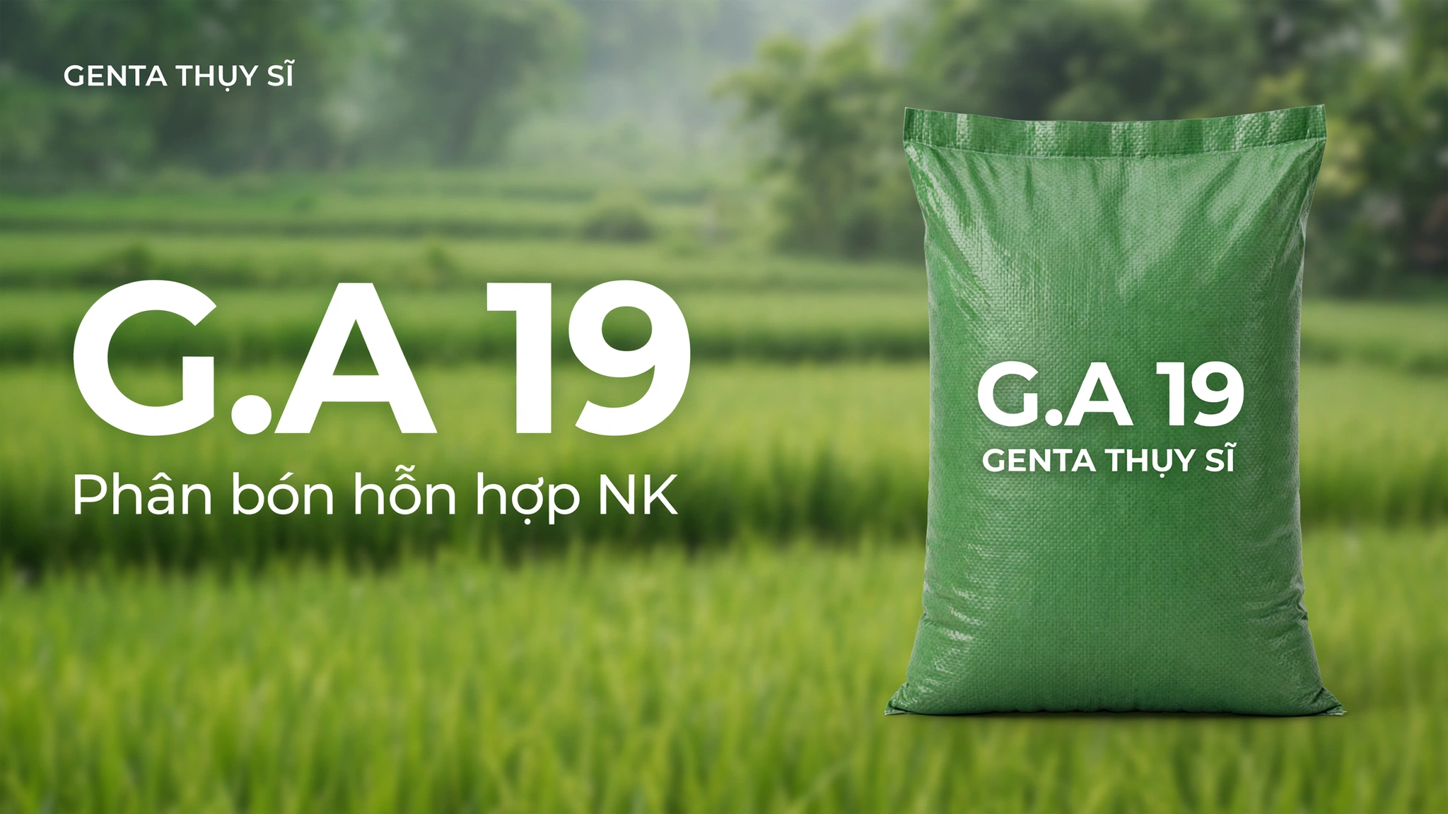 Ảnh bìa bài viết phân bón G.A 19